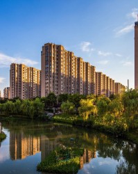 炸金花-有人预测：明后年，二三十层电梯房，或将面临这3个结局，太真实