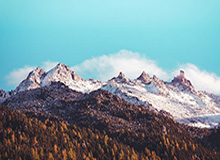 vip注册：开启专属特权的新章